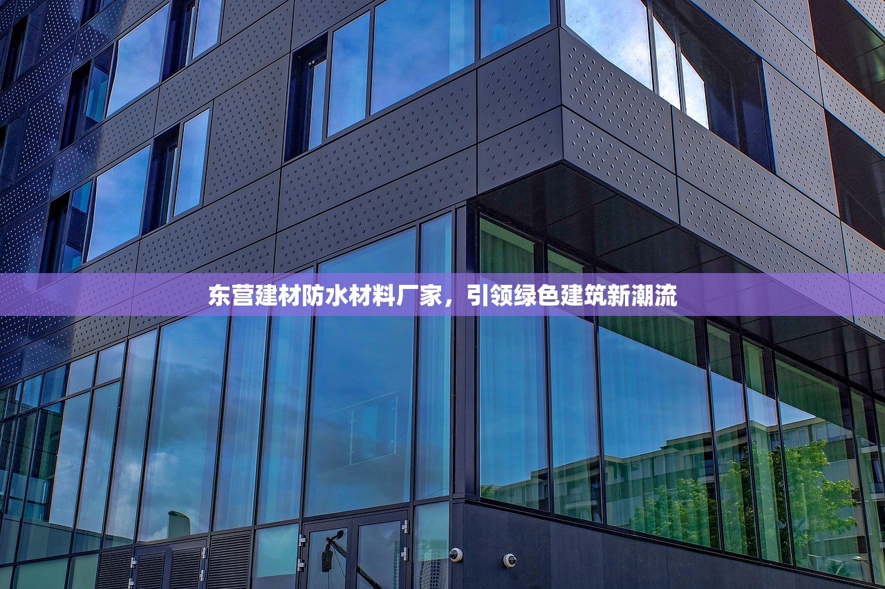 东营建材防水材料厂家，引领绿色建筑新潮流