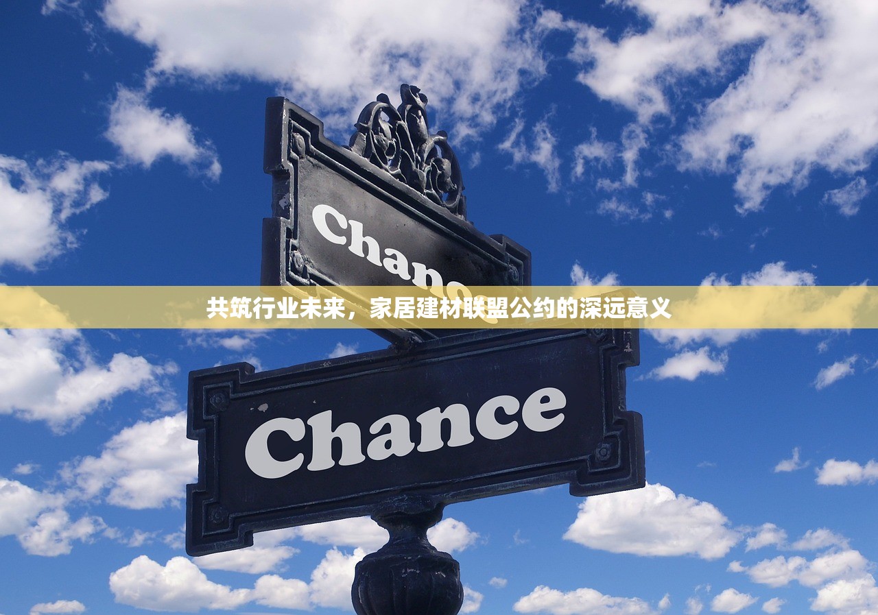 共筑行业未来，家居建材联盟公约的深远意义