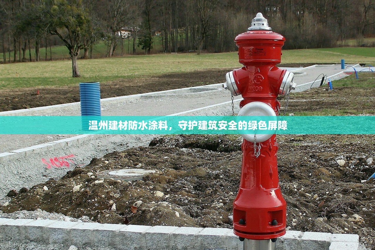 温州建材防水涂料，守护建筑安全的绿色屏障