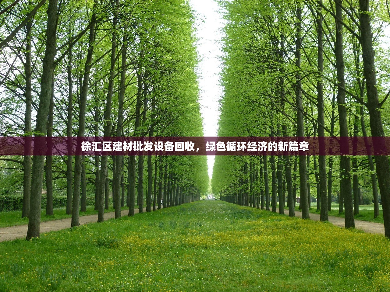 徐汇区建材批发设备回收，绿色循环经济的新篇章