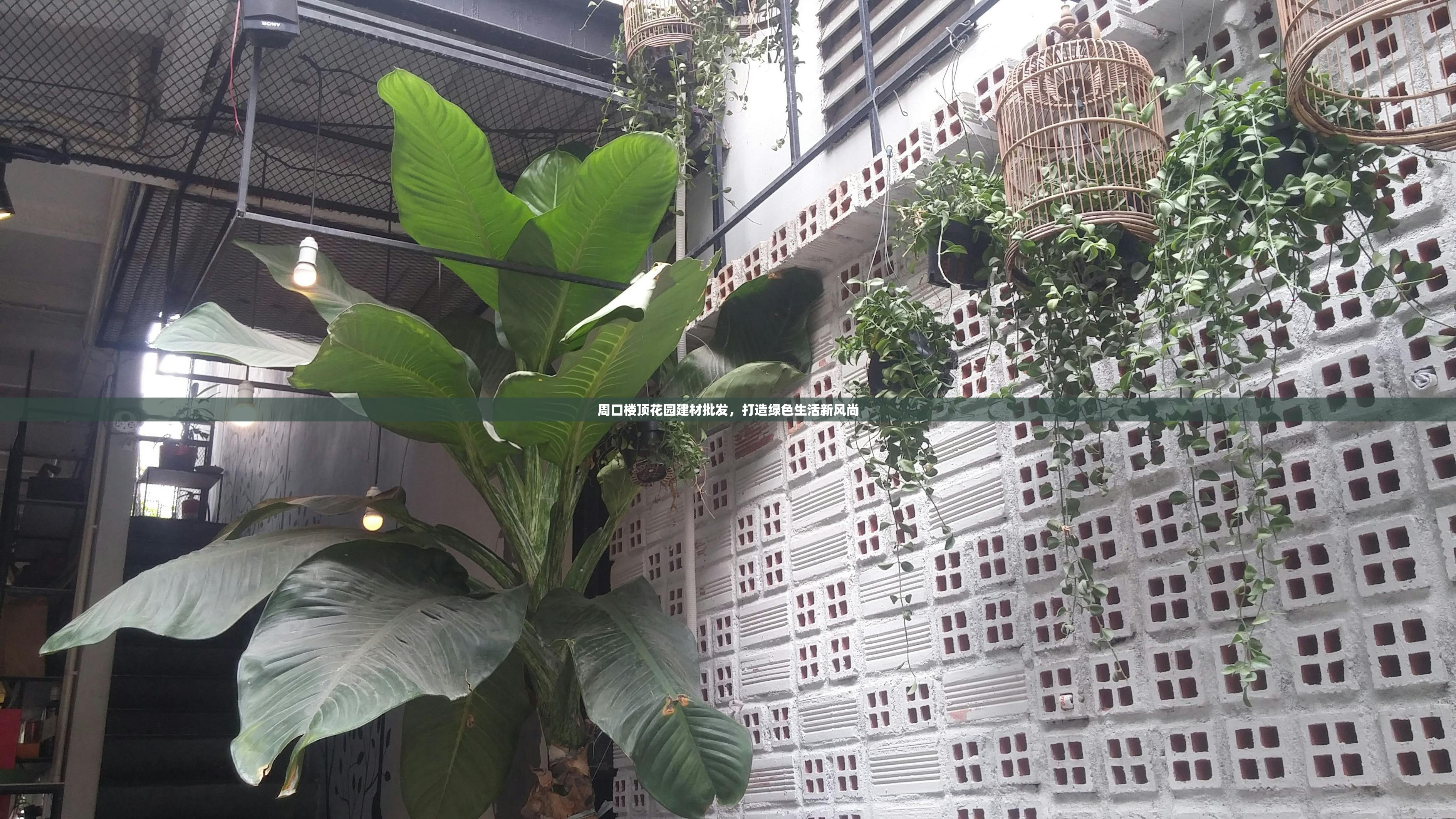 周口楼顶花园建材批发，打造绿色生活新风尚