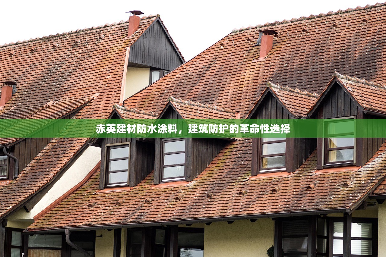 赤英建材防水涂料，建筑防护的革命性选择