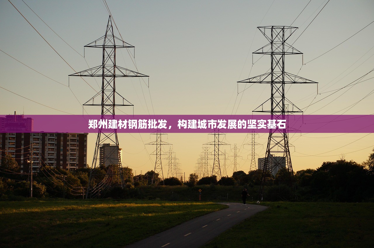郑州建材钢筋批发，构建城市发展的坚实基石