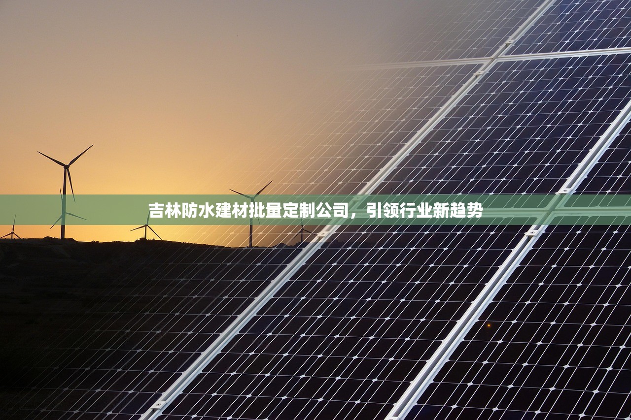 吉林防水建材批量定制公司，引领行业新趋势