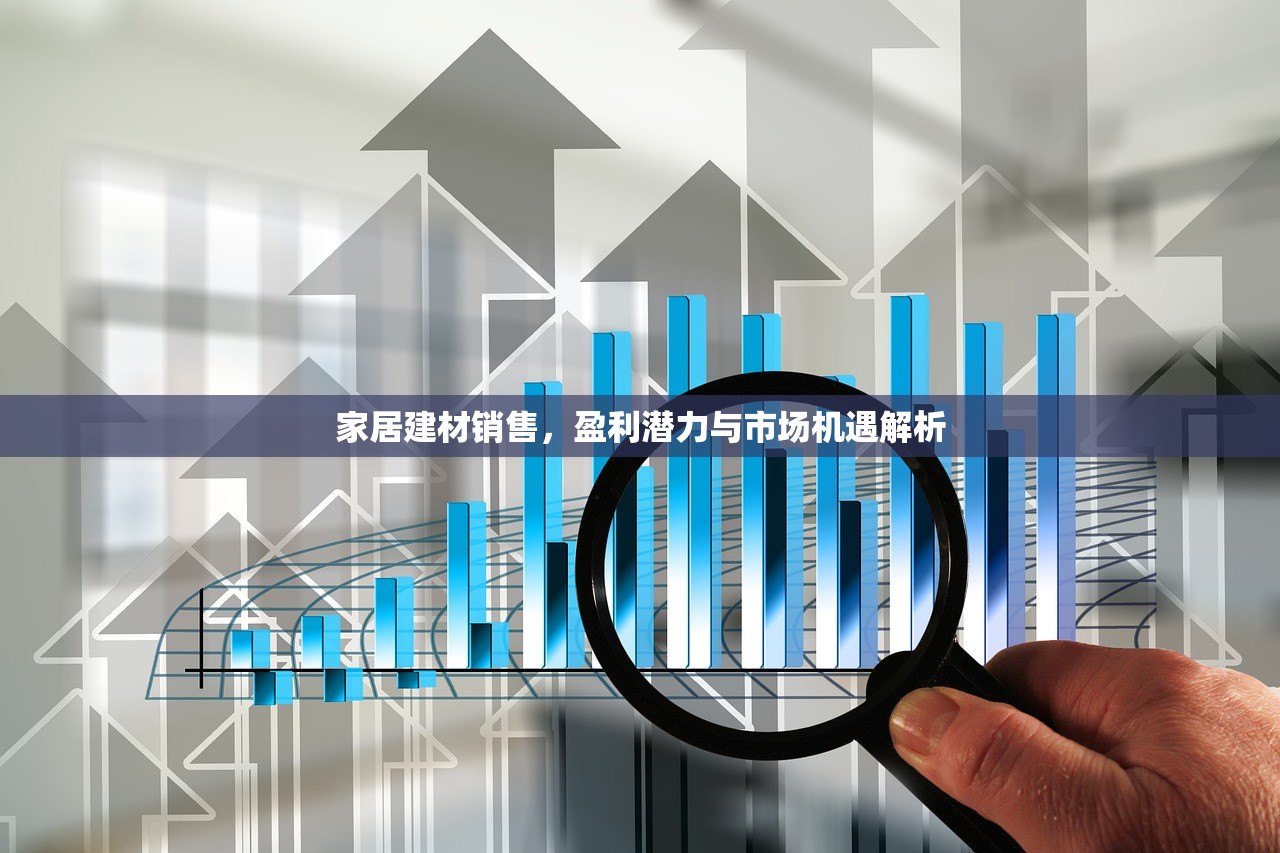 家居建材销售，盈利潜力与市场机遇解析