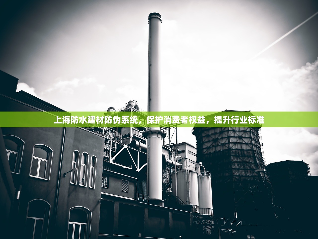 上海防水建材防伪系统，保护消费者权益，提升行业标准