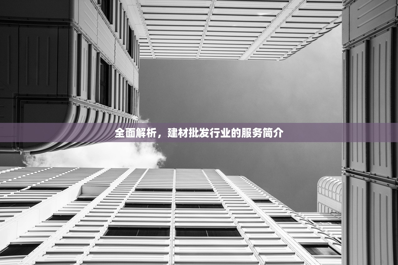 全面解析，建材批发行业的服务简介