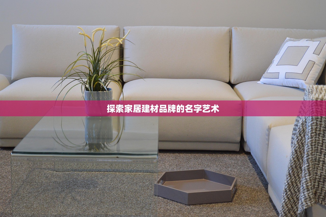 探索家居建材品牌的名字艺术