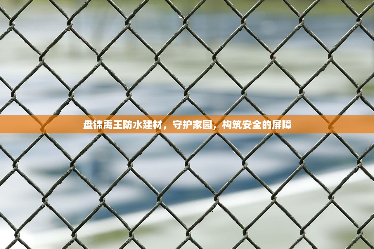 探索下沙建材市场，服装批发的新天地