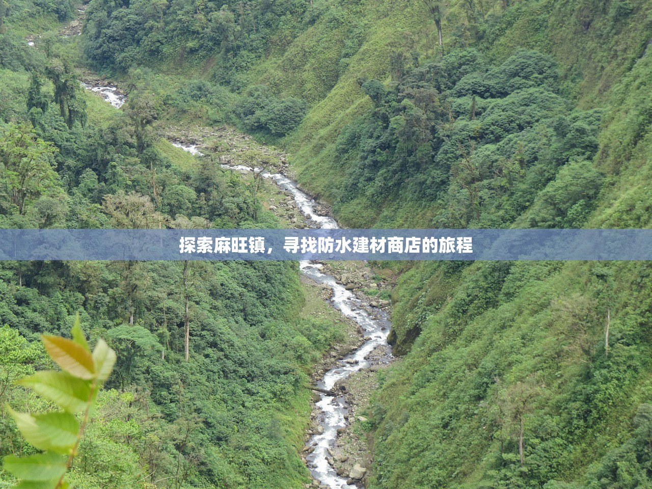 探索麻旺镇，寻找防水建材商店的旅程