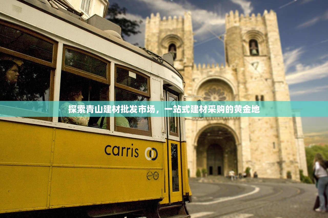 探索青山建材批发市场，一站式建材采购的黄金地