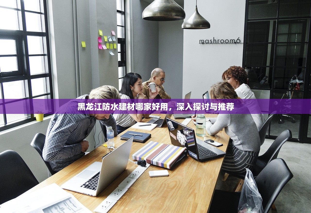 黑龙江防水建材哪家好用，深入探讨与推荐