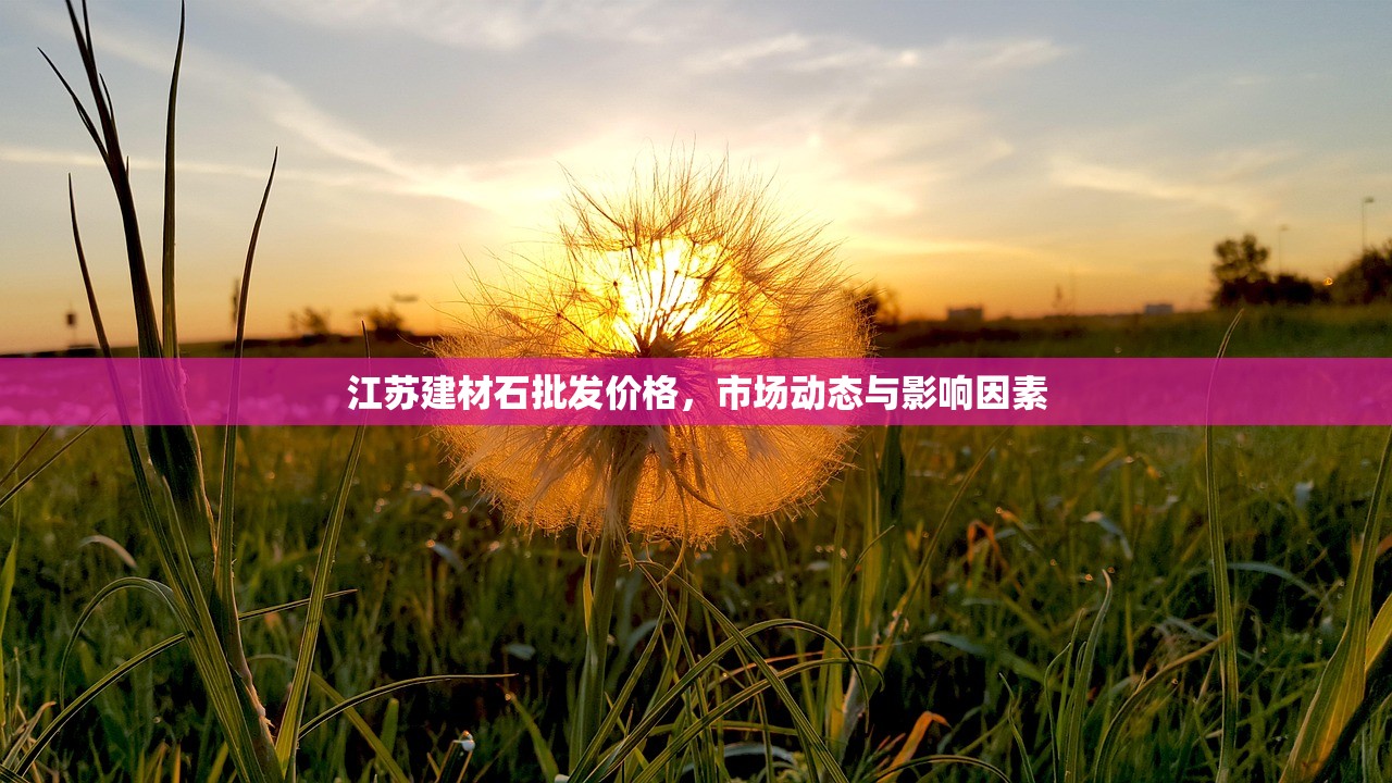 江苏建材石批发价格，市场动态与影响因素