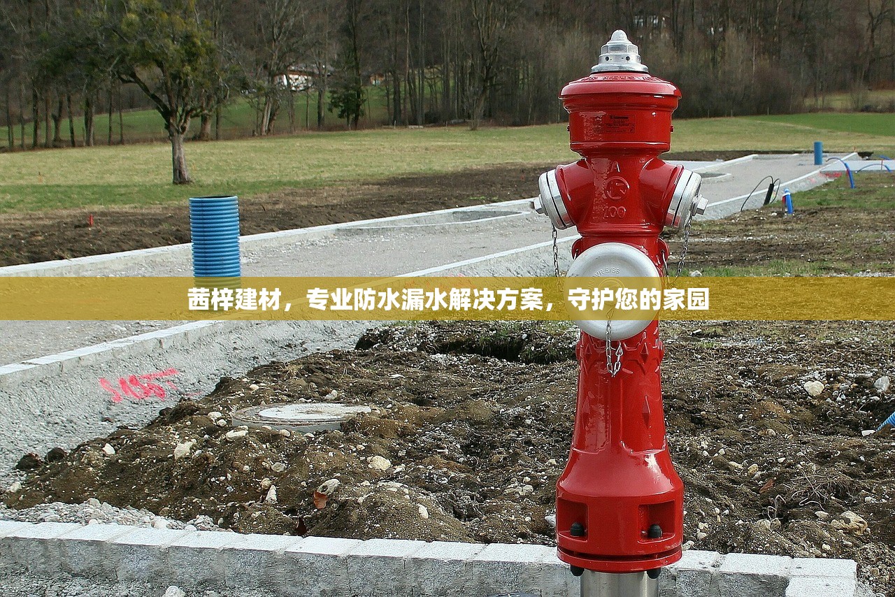 茜梓建材，专业防水漏水解决方案，守护您的家园