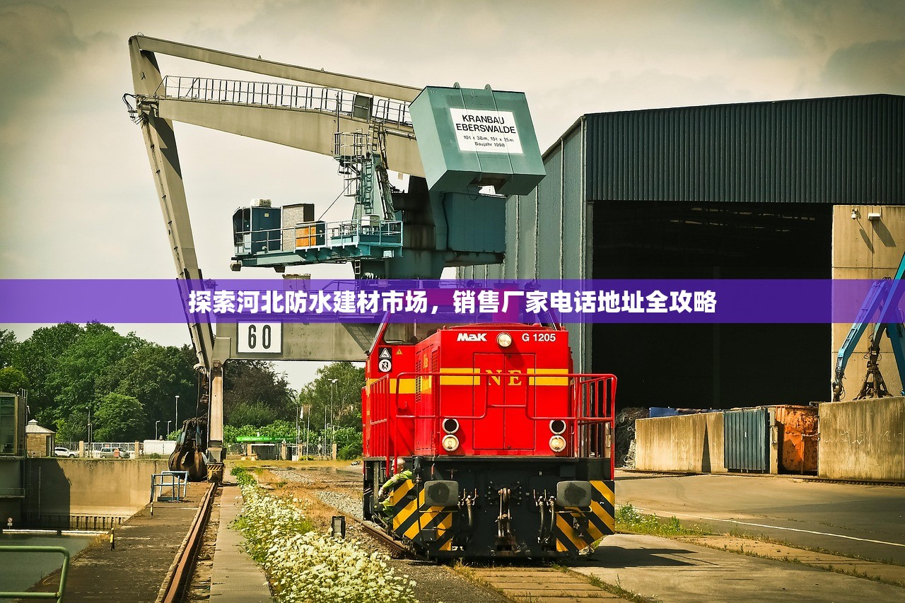 探索河北防水建材市场，销售厂家电话地址全攻略