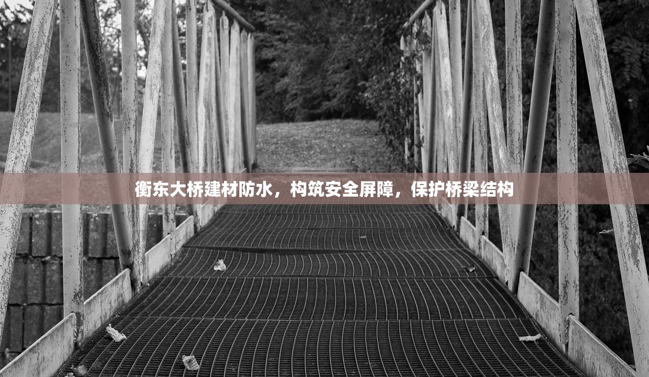 衡东大桥建材防水，构筑安全屏障，保护桥梁结构