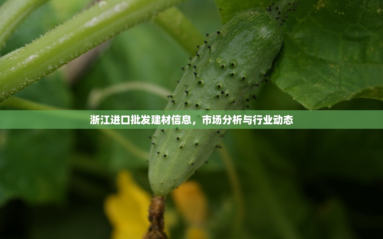 浙江进口批发建材信息，市场分析与行业动态