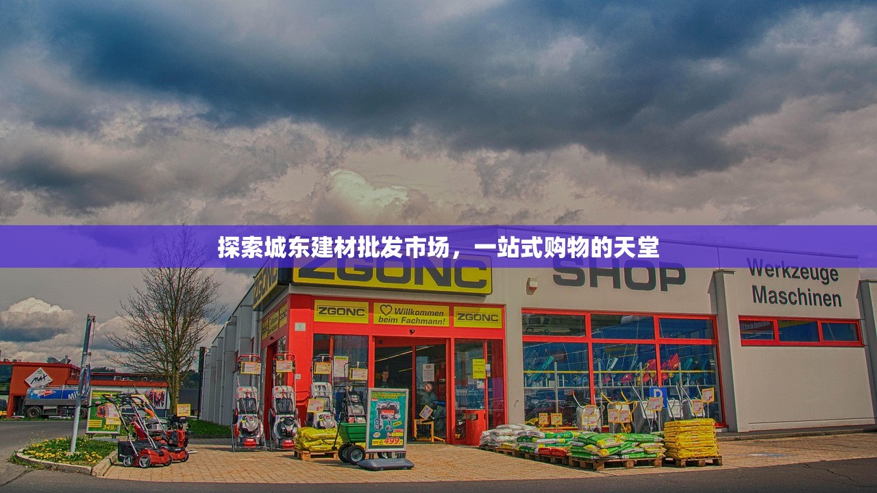 探索城东建材批发市场，一站式购物的天堂