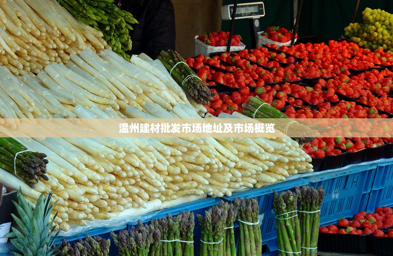 温州建材批发市场地址及市场概览