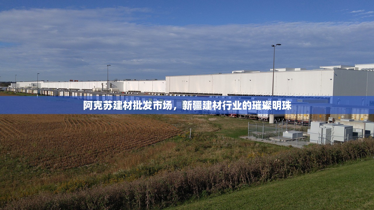 阿克苏建材批发市场，新疆建材行业的璀璨明珠