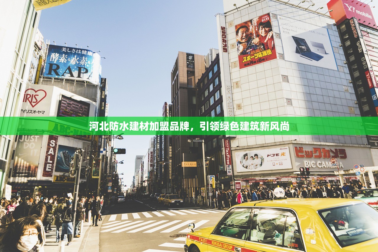 河北防水建材加盟品牌，引领绿色建筑新风尚